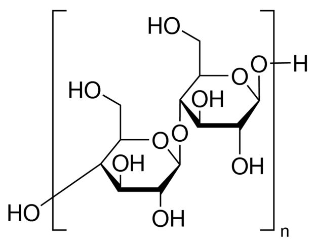 Avicel PH-101 (Microcrystalline Cellulose)