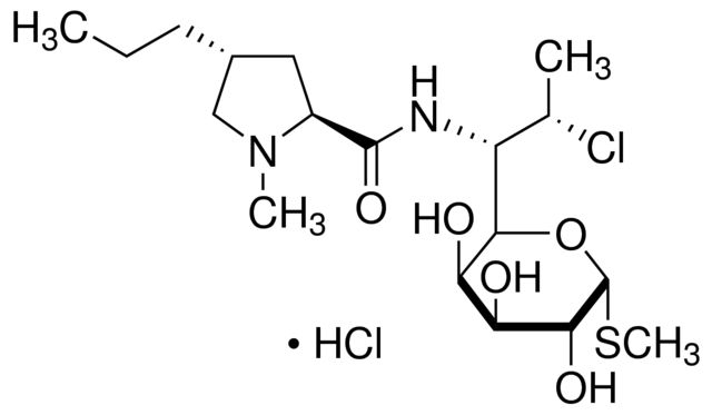 Clindamycin HCL USP